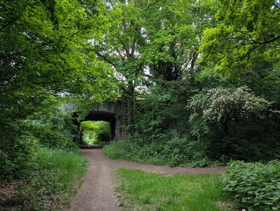 Weg vor einer Unterführung mit üppiger Vegetation