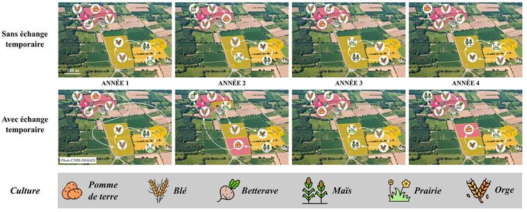 Figure extraite de l'article