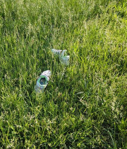 An empty pair of running shoes in the middle of the grass.