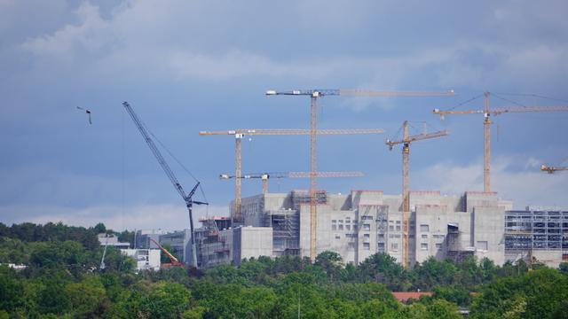 Näherer Zoom und Vogel