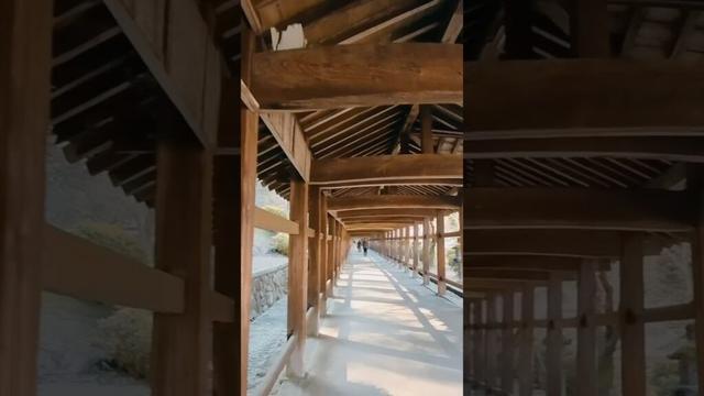 To National Treasure Kibitsu Shrine #japan #travel #okayama #kibitsu #岡山 #吉備津神社