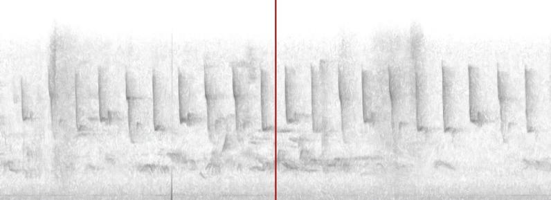 Audio recording of a chiffchaff, shown in the form of a frequency spectrum (produced with the Merlin app). The narrow, clearly separated vertical bands  are characteristic of the long sequences of chip chap chip chap chip chap the bird produces.