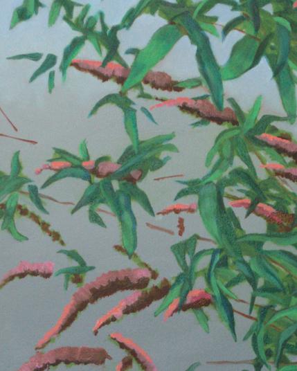 Painting by Aurel Porté depicting a construction site fence with blooming buddleias growing behind it, exceeding its height. The presence of these shrubs hints at the existence of a hidden vacant lot. Such fences, enclosing land left fallow for years, are common in the suburbs of Paris undergoing gentrification. They serve to secure the area, preventing young people from using it as a gathering place and poorer populations from establishing makeshift camps there.
