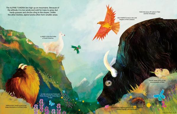 Beastly Biomes book by Carly A-F
a colourful spread of animals in the alpines