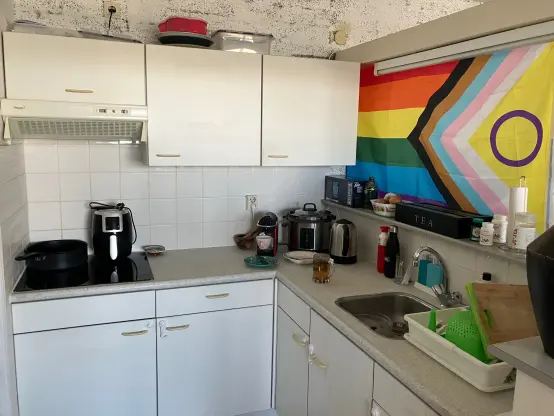 Photo of my tiny kitchen sporting an induction cooktop, an air fryer, a Nespresso machine, a rice cooker, an electric kettle, a big glass of tea that I just made, and a huge progress pride flag!