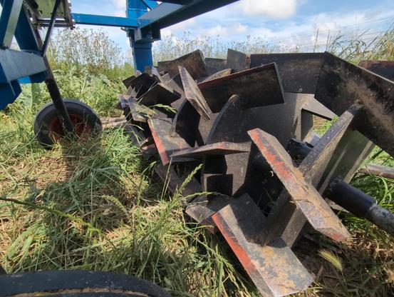 Image shows a roller-crimper, a heavy machinery that can be dragged behind a tractor and that folds plants in a way that they break and dry.