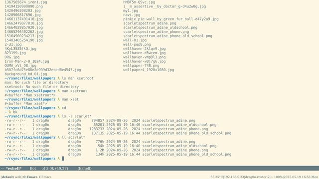 My desktop with an Emacs frame opened. There is an Eshell in the Emacs window with listing of my wallpapers with it's size (showing dramatic decrease of files' sizes after playing with palette with reduced colors and dithering  — from 776 Kb to 54 Kb for desktop wallpaper and from 1.2 Mb to 134 Kb for mobile wallpaper):

776k scarletspectrum_adine.png
54k scarletspectrum_adine_oldschool.png
1.2M scarletspectrum_adine_phone.png
134k scarletspectrum_adine_phone_old_school.png

Emacs modeline is standard but using a DejaVu Serif font. Emacs frame itself using DejaVu Sans Mono font. All screen colored with a Solarized Light color scheme.
