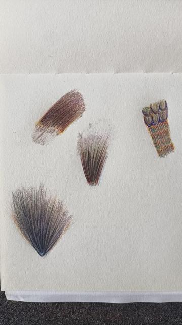 page from my sketchbook working on small pieces to make them feel like fluffy fur texture -- and the one on right is more to get feather like feeling. 

drawn with multiple colours and built over layers and layers.