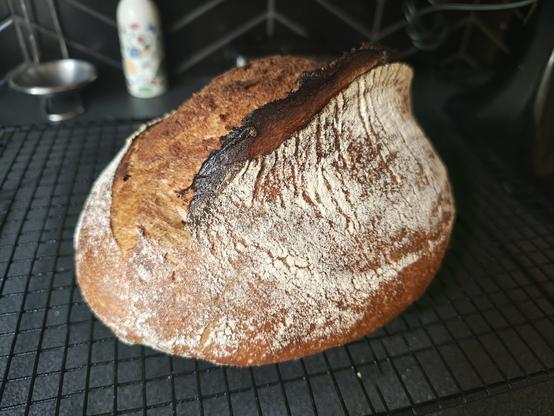 Hot loaf of bread resting on a cooling rack. Brown crust is dusted with flour, oven spring caused nice "ear" opening