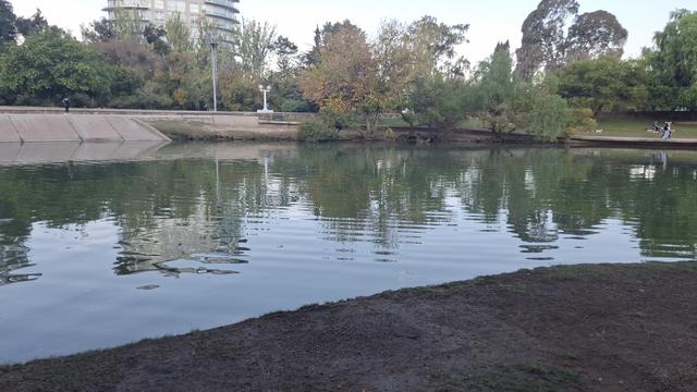Der Lago... Stadt und Natur spiegeln sich im Wasser