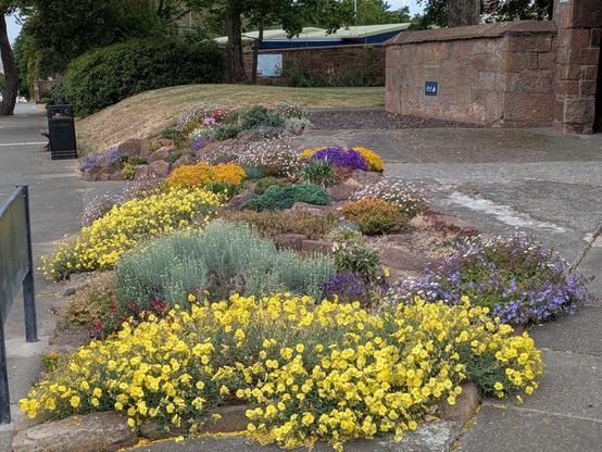 A vibrant rock garden filled with various colourful flowers and greenery.