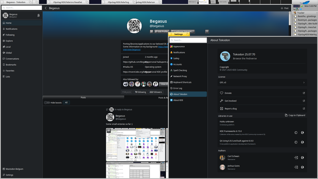 Tokodon (build with kde-builder script) nightly running on Haiku R1B5 64bit.