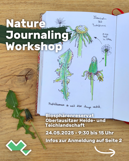 Nature Journaling Workshop Biosphärenreservat Oberlausitzer Heide- und Teichlandschaft - 24.05.2025 von 9:30 bis 15 Uhr