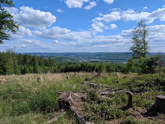View from a forest clearing overlooking a green valley with a town nestled in the distance under a partly cloudy blue sky. Tree stumps and fallen branches in the foreground suggest earlier logging activity.