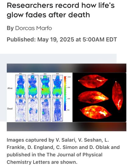 Researchers record how life's glow fades after death

By Dorcas Marfo

Published: May 19, 2025 
Images captured by V. Salari, V. Seshan, L.
Frankle, D. England, C. Simon and D. Oblak and published in the The Journal of Physical Chemistry Letters are shown.