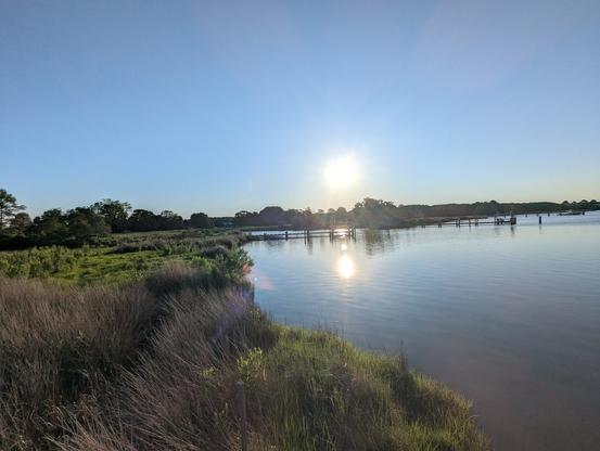 Photo of a calm morning sunrise over Harris Creek sun rising low to the left in a cloudless blue sky. Marsh is a riot of new green growth. Creek water is rippled and reflects the sun 🌻 and sky.