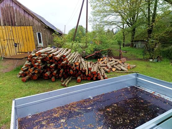 Destination pile. The logs are stacked the same way in the yard, in a growing pile outside the barn. A messy pile of short logs is behind, also growing in size. The chopping block and sawhorse are no longer visible behind the stack of logs. The trailer is empty, very wet and full with sawchips, dirt, small branches and several deported snails.