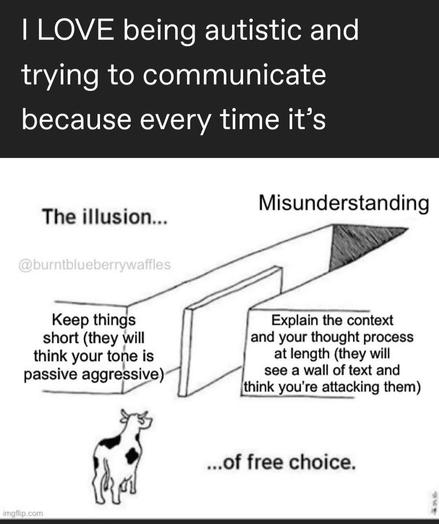 "I love being autistic and trying to communicate because every time it's" there is a photo with a cow who is given two lanes to go down. This "illusion of choice" given by the two lanes both end in "Misunderstanding". Lane 1 is "Keep things short (they will think your tone is passive aggressive)" Lane 2 is "Explain the context and your thought process at length (They will see a wall of text and think you're attacking them)"