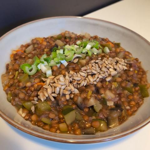 Picture of brown lentil stew with small pieces of carrots, zucchini, eggplant, green bell pepper, red onions and garlic. The stew is decorated with two parallel lines of roasted sunflower seeds and chopped spring onion. It is served on a gray plate. The background is a neutral white table.