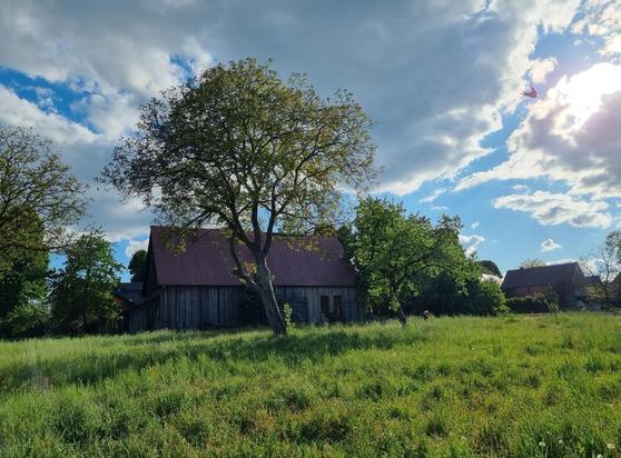 Ein altes Bauernhaus auf einer grünen Wiese, umgeben von Frühlingsbäumen und weiteren Häusern rechts davon unter einem blauen Himmel mit einigen Wolken.