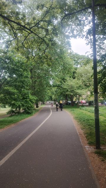 Looking along the path in the Meadows, trees lining either side, now heavy with green, spring foliage