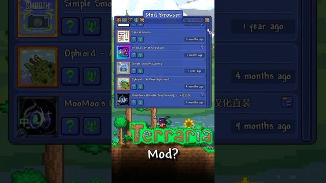 The WORST Terraria Mod!? #gaming #terraria #mods #funny #epic #worst