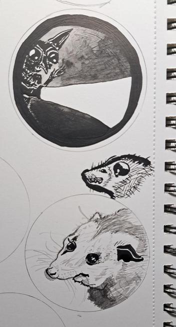 goblin stickers?
Black on white with greyscale.

Sticker 1, flashlight.
Sticker 2, possum

an opossum outside of the lines.
Little bugger must have snuck in.