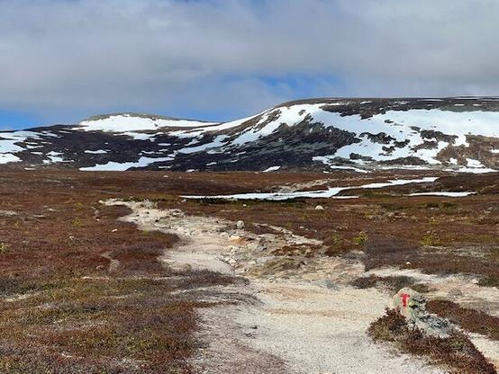 Well beaten trail leading towards mountains with a good amount of snow left.