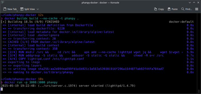 The `docker build` output for building the Phanpy container along with the `docker run` command showing Lighttpd serving Phanpy from the terminal window