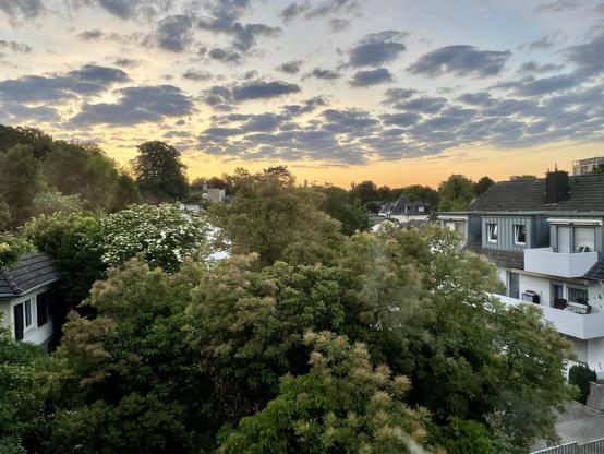 Blick aus dem Fenster 1x