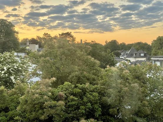 Blick aus dem Fenster 2x