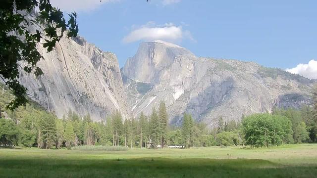 View of Half Dome from Ahwahnee Meadow. Blue sky and a few delicate clouds here and there in this Yosemite Conservancy web camera image from Sunday. The National Weather Service seven-day forecast for Yosemite Valley shows clear/sunny conditions for the area. Green colors the valley floor, the leaves in the foreground, and the line of trees in the center. The greys, tans, and blacks of the rock faces are lit by the sun. A few shadows appear in the grasses and along the slopes.