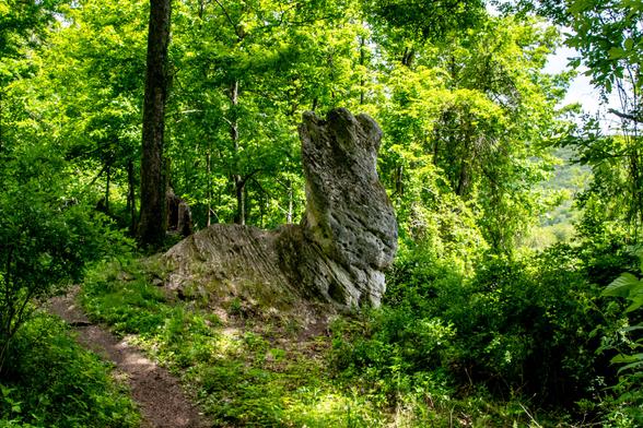 On a trail with a lot of green leaves a very large rock outcrop that looks kind of bunny rabbit sitting down