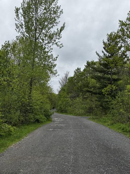 The Olmstead Road near the Mount Royal Antenna.

The gravel path winds with green trees on either side and puddles on the road. The sky is overcast.
- - -
La chemin Olmstead près de l’antenne du mont Royal.

Le sentier fait en gravier est bordé d'arbres verts de chaque côté et de flaques d'eau sur la chemin. Le ciel est ennuagé.