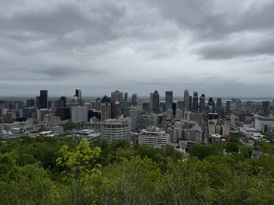 The skyline of downtown Montréal. The sky is cloudy grey. 
In the foreground, we can see green trees, then downtown’s skyscrapers and then the St. Lawrence River. 
- - -
La ligne d'horizon du centre-ville de Montréal. Le ciel est d’un gris nuageux.

Au premier plan, nous pouvons voir des arbres verts, puis les gratte-ciel du centre-ville, puis le fleuve Saint-Laurent.