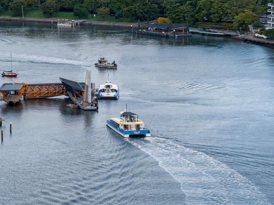 New Farm ferry terminal on the Brisbane River. A CityCat is stopped at the terminal, and another is approaching. A grey boat is traversing the river near the ferry terminal