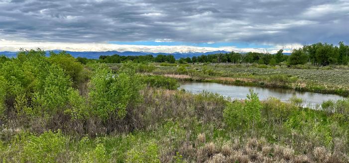 A large creek running through wetland areas with a variety of green and brown grasses and vegetation, green shrubs, some rocks on one bank, and some larger trees beyond, with a line of foothills and mountains in the far distance, some of the highest mountains still white with late season snow, under mostly cloudy skies with a few peeks of blue in between.