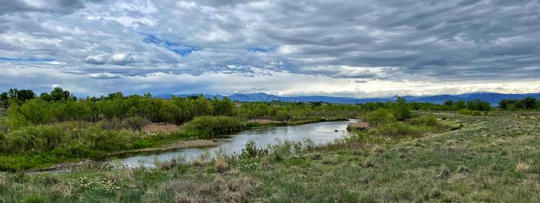 Another view across a creek-fed wetland areas with from a different angle, with lots of grasses and vegetation, plus shrubs and trees interspersed across the scene, with foothills and mountains (including the tilted Flatirons rocks) in the far distance under mostly cloudy skies with peeks of blue.