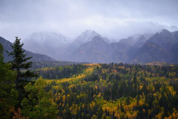 A scenic view of mountains shrouded in mist, overlooking a forest with vibrant autumn foliage in shades of green and yellow.
