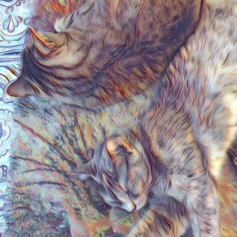 A brown tabby adult cat, back to back with a dilute tortoiseshell kitten, sprawls on a folded blanket on a bedspread, color softened with a watercolor filter, illustrating Pick by Coat Color.