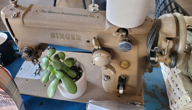 Old Singer zig zag capable sewing machine on a table, being used as decor