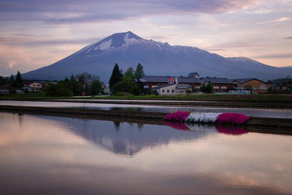 An evening photo of Mt.Iwate with buildings and a fully irrigated rice paddy in the foreground.