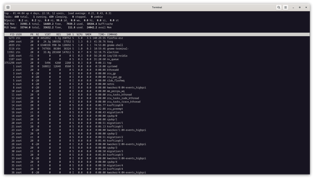 Output from top program (from procps-ng 4.0.2)
