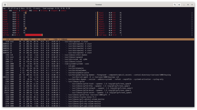 Output from top program (from procps-ng 4.0.5). Looks more like htop.