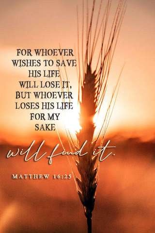 For whoever wishes to save his life will lose it, but whoever loses his life for my sake will find it. Matthew 16:25

background is blurred shades of orange, with the head of a wheat stalk in the foreground just to the right of the text.