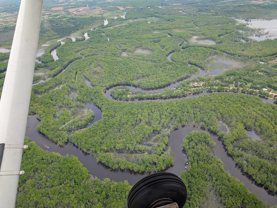 Twisting winding rivers going through forests with trees full of leaves.