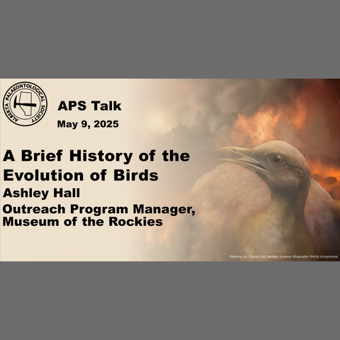 The title page of the talk. The left is brown, fading on the right to a painting of a bird in front of a fire.