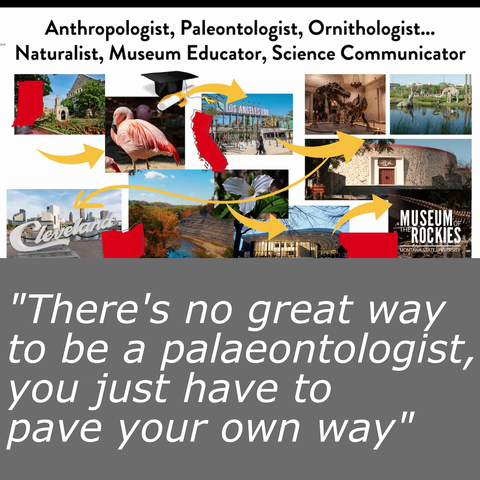 On the top is a series of pictures representing the different stages of Ashley Hall's career (birds, different institutions) with arrows between them showing how her career has taken many different twists and turns.

Below that is a quote: "There's no great way to be a palaeontologist, you just have to pave your own way".