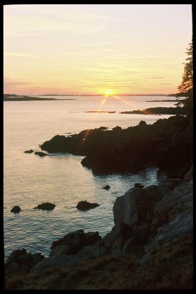 A film photograph of a rugged granite section of the Maine coastline. Branches of a spruce tree are just visible on the right side of the frame. The rocks are mostly silhouetted, though a little detail is visible. The ocean is mostly calm and reflecting a beautiful orangey sunset. The sun is setting behind islands on the horizon.