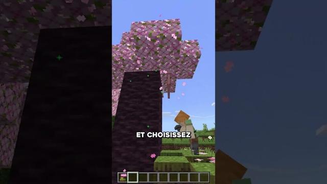 La capsule temporelle de Minecraft